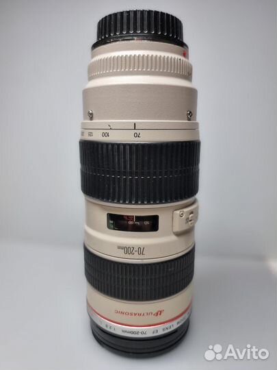 Canon ef 70 200mm f 2.8l usm