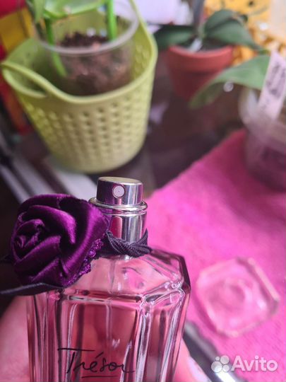 Lancome tresor midnight rose