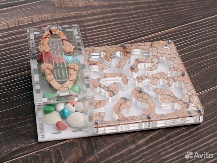 Муравьиная ферма с муравьями в Махачкала