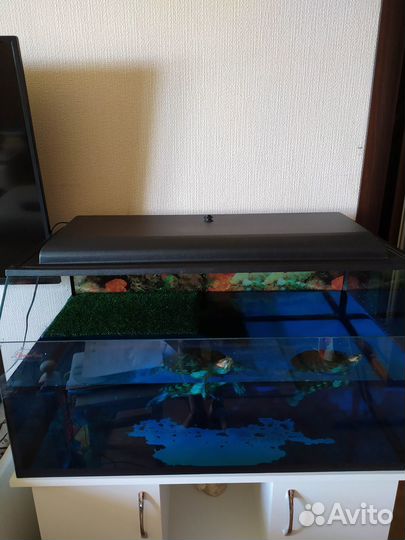 Террариум на 150 литров и тумба для него