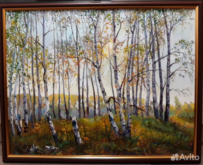 1 Вид на реку Белая. 2 Среди берез утром