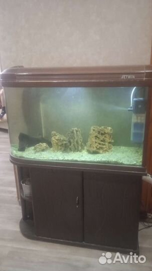 Аквариум jetwin