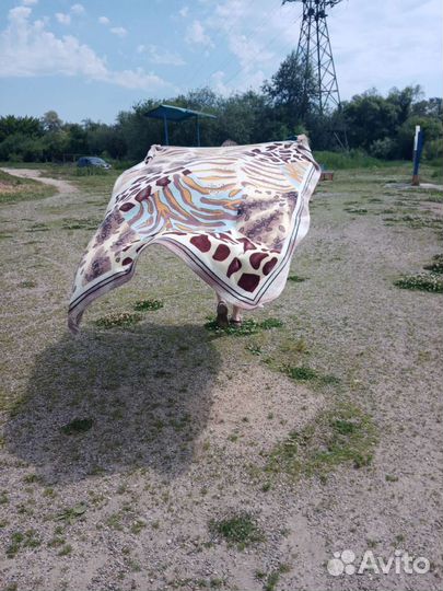 Ковер самолет