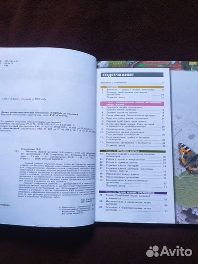 Учебники 5-6 класс