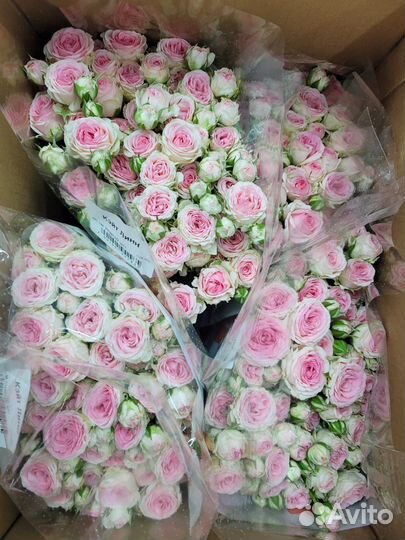 Кустовые розы WOW эффект в букете