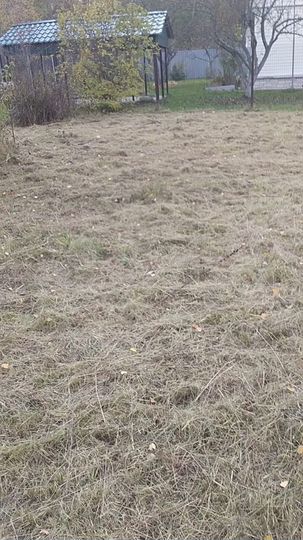 Участок 10 сот. (СНТ, ДНП)