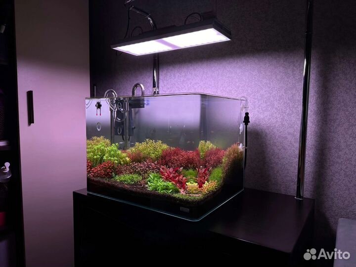 Аквариум в комплекте