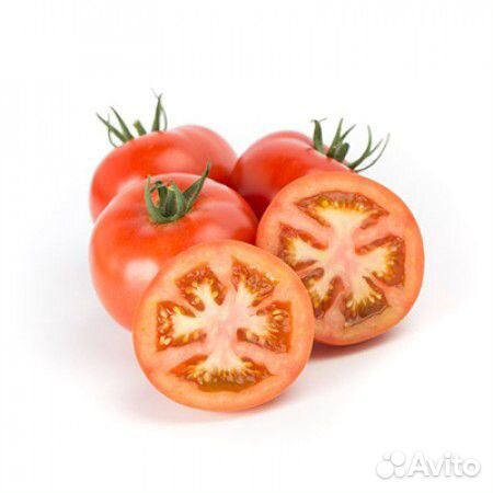 Семена Томата 
