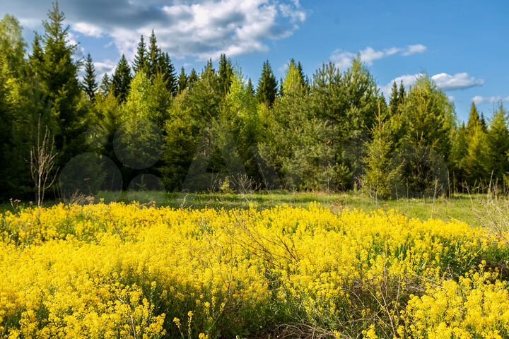 Участок 2,8 га (ИЖС)