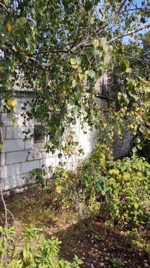 Дом 73 м² на участке 60 сот.