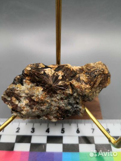 Лапрофиллит, эвдиалит, гакманит. Ловозеро