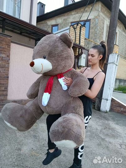 Большие плюшевые медведи