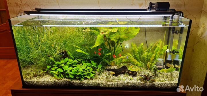 Аквариум под ключ(1100дх400шх510в)