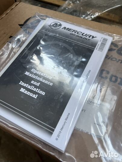 Mercury F60 EFI