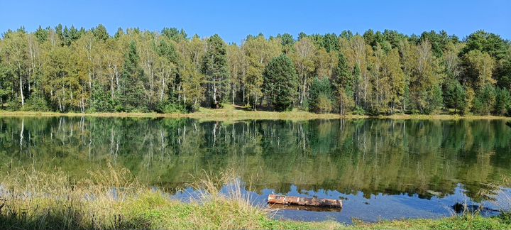 Участок 12 сот. (СНТ, ДНП)