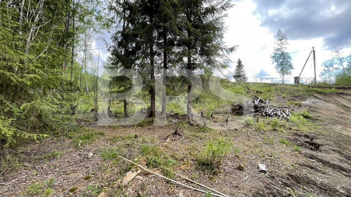 Участок 10 сот. (ИЖС)