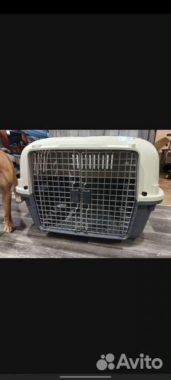 Переноска для собак