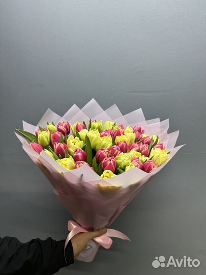 Цветы тюльпаны