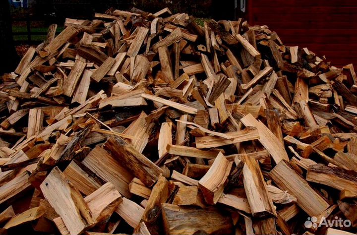 Кора березы