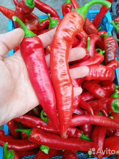 Помидор перец чеснок