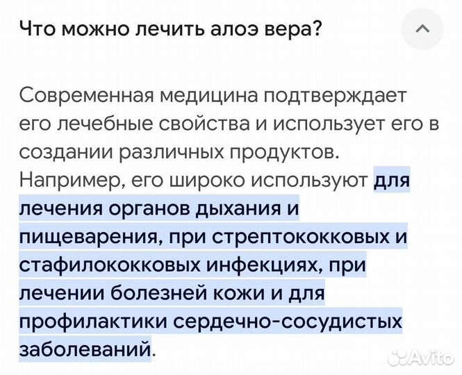 Комнатные растения цветы