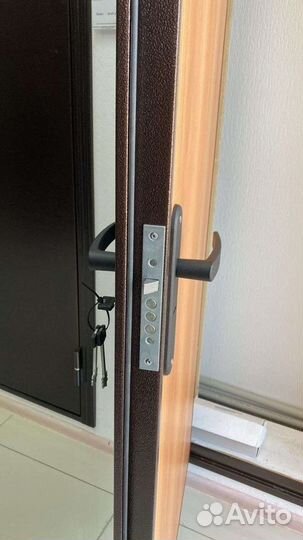 Дверь входная дс-60