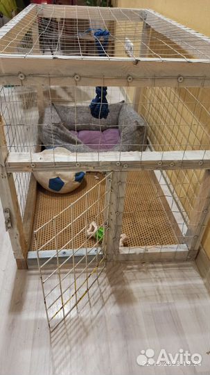 Клетка для собаки