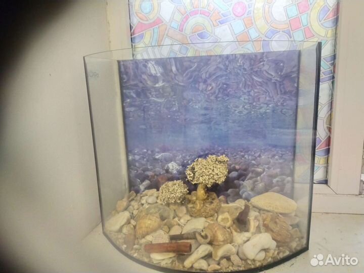 Аквариум