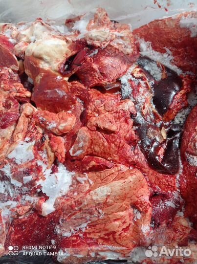 Корма для собак