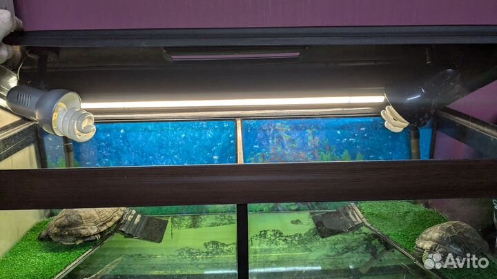 Террариум для черепах