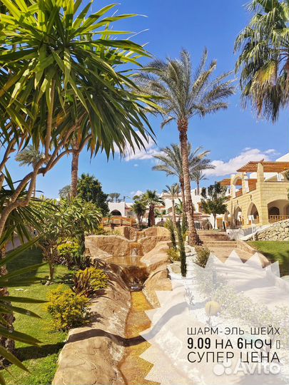 Египет Шарм-Эль-Шейх встречаем осень на море