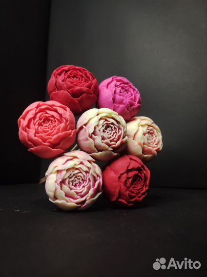 7 Пионов из Бельгийского Шоклада