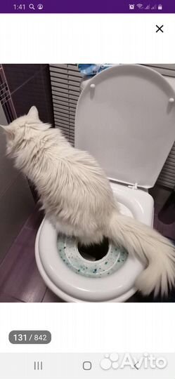 Система для приучения кошек к унитазу