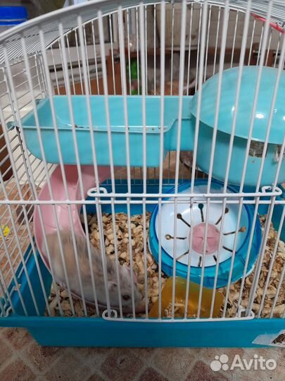 Клетка для хомяка