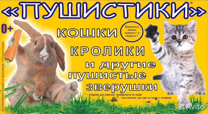 Работники на выставку животных
