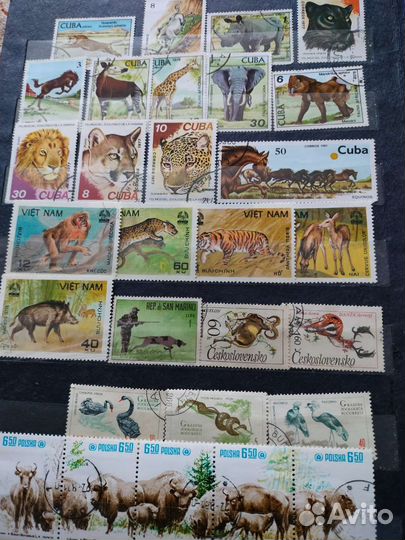 Марки фауна, флора