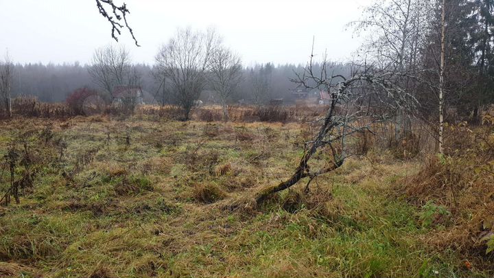 Участок 15 сот. (ИЖС)