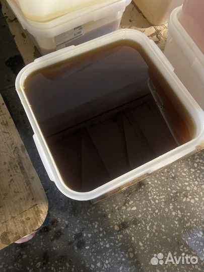 Оптом свежий мед / Дягилевый мед