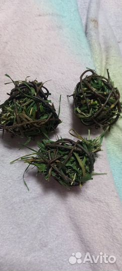 Для грызунов