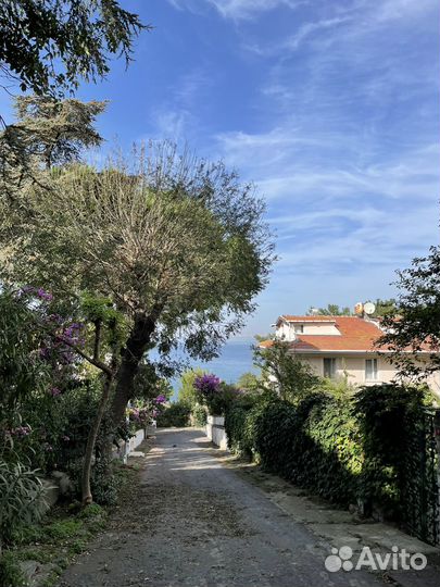 Тур в Стамбул