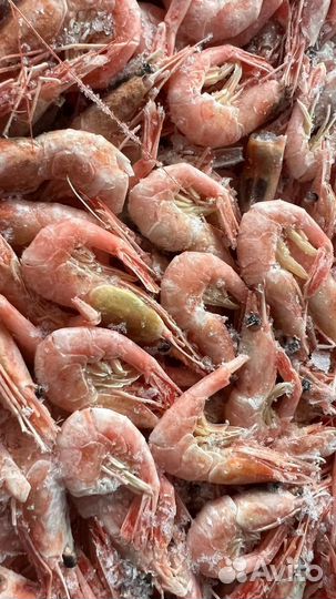 Креветка Северная РФ