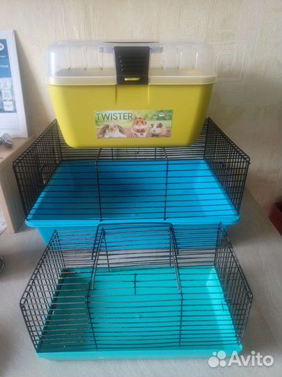 Для морских свинок