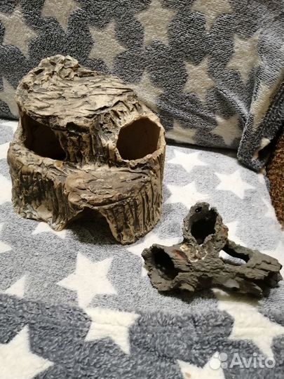 Для аквариумистов