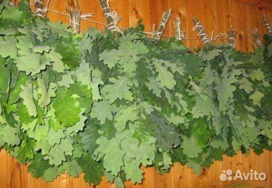 Дубовые веники для бани