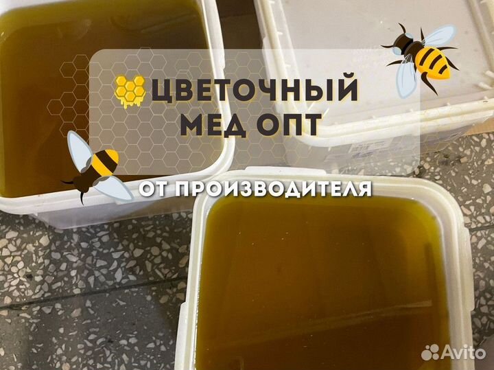 Свежий. Натуральный мед оптом