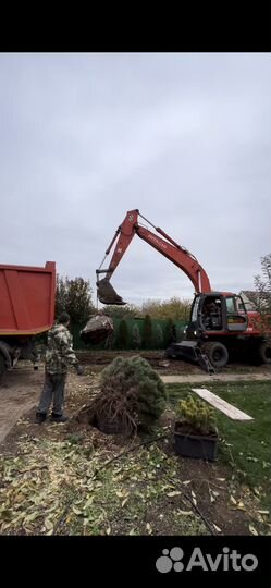 Аренда экскаватор погрузчик JCB