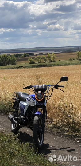 Продам alpha RX