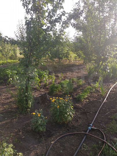 Дом 44,6 м² на участке 50,7 сот.