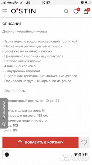 Пуховик мужской