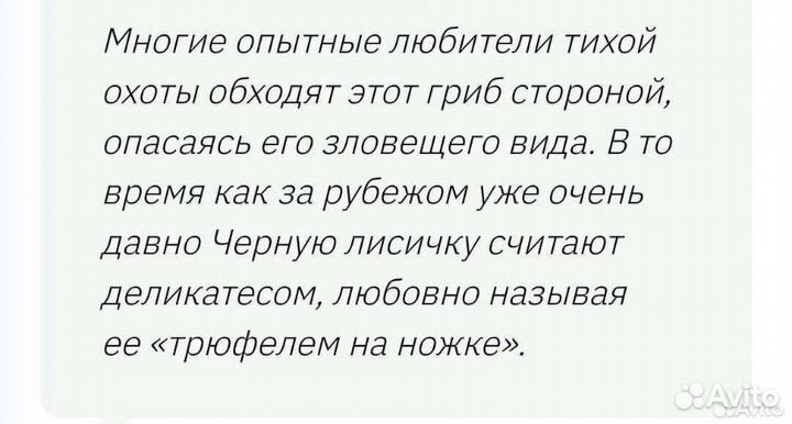 Грибы черные лисички